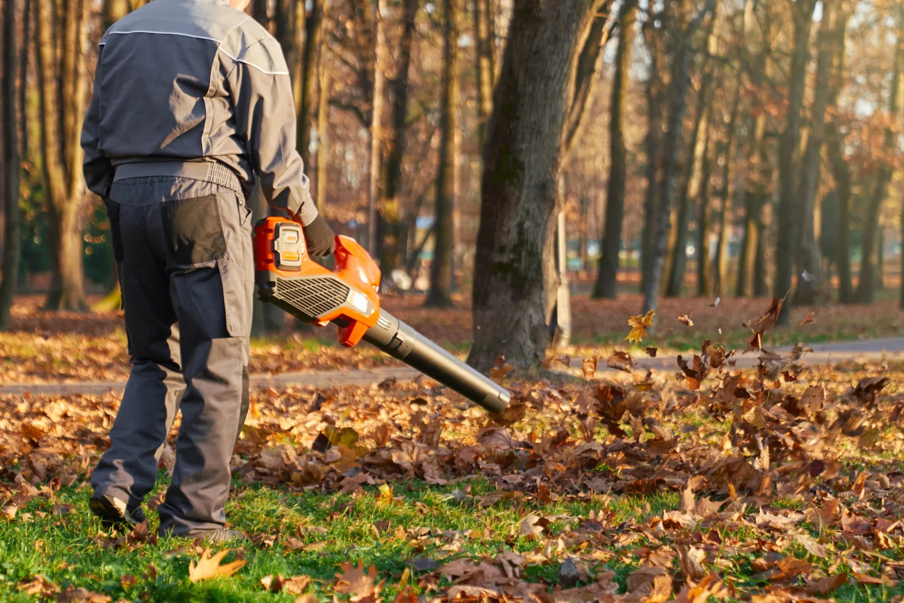 Garden maintenance — Kellyville