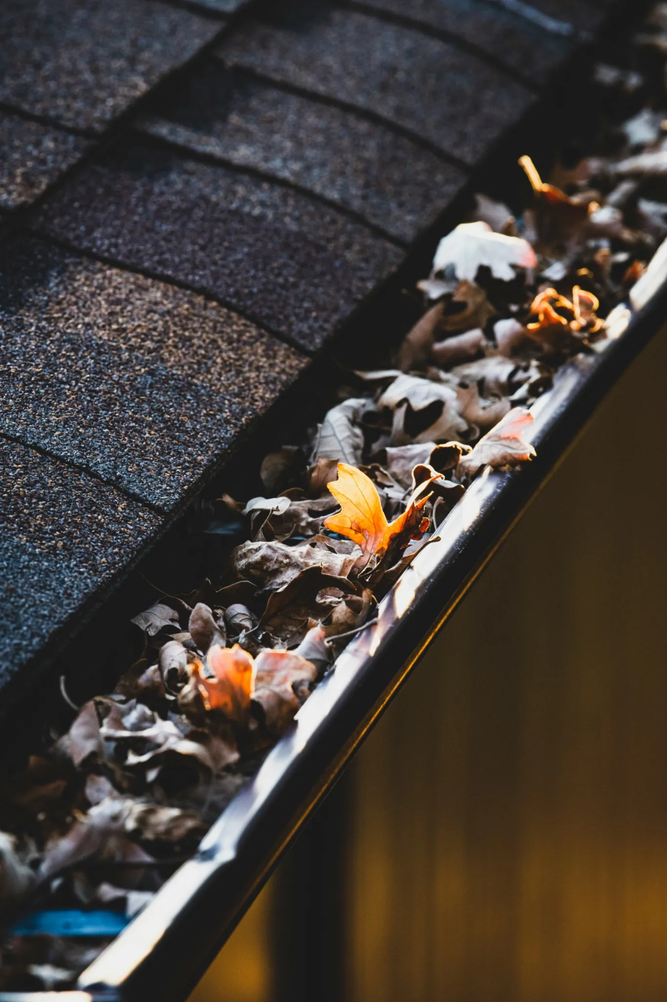 Gutter cleaning — Bondi