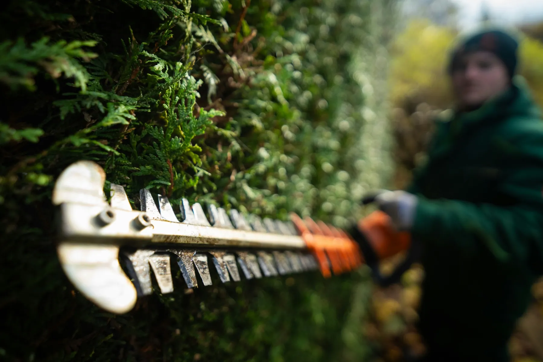 Gutter cleaning — Canterbury