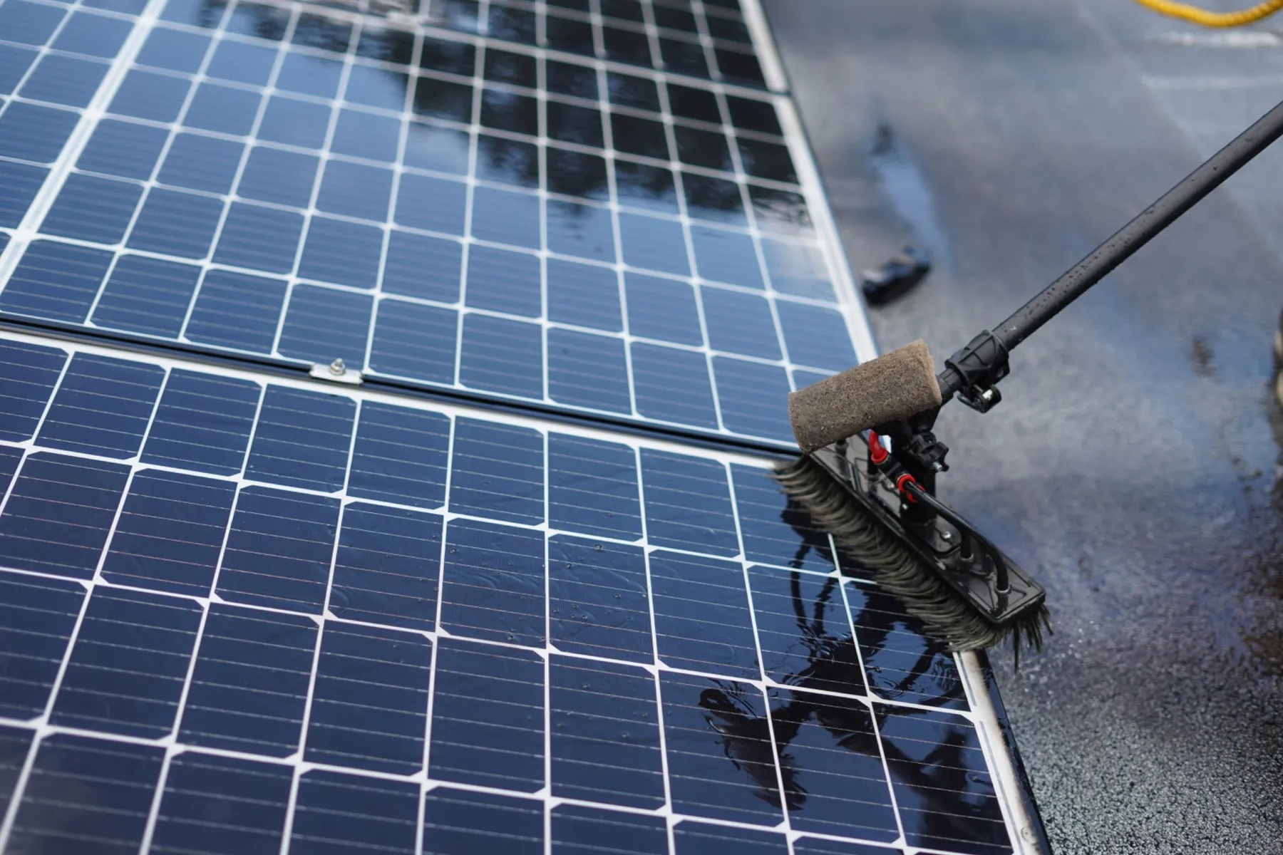 Solar panel cleaning — Hills District