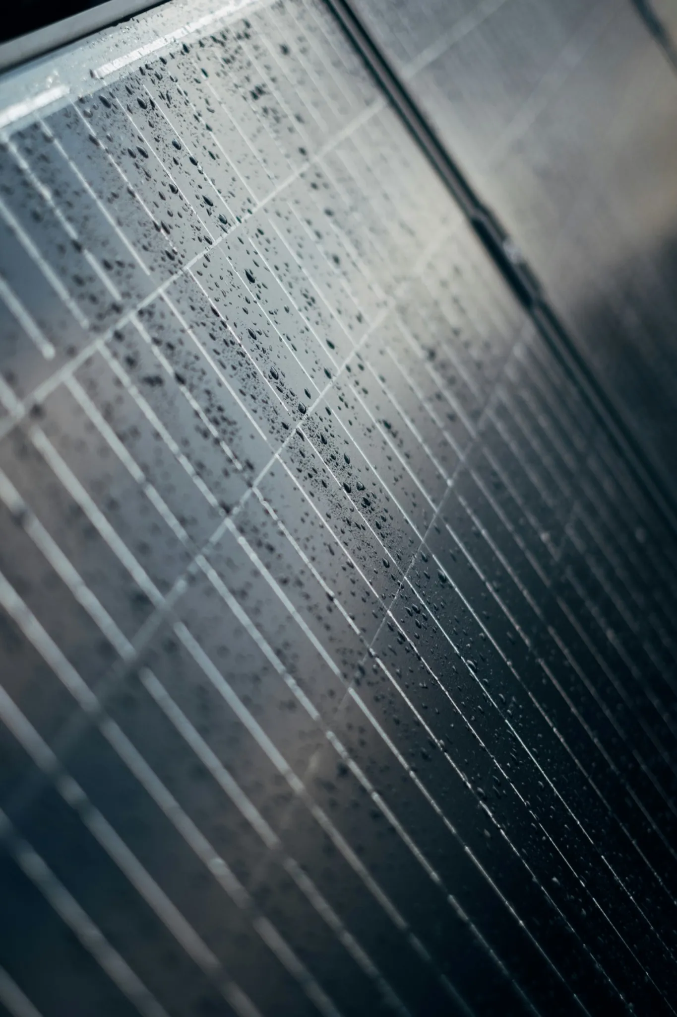 Solar panel cleaning — Sutherland Shire